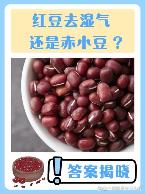 红豆为什么能减肥