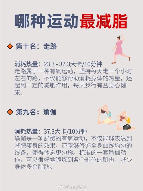 什么运动减肥效果最好