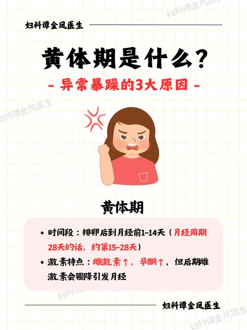 为什么黄体期减肥慢