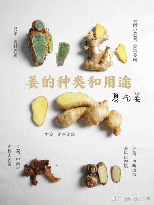 生姜和什么一起吃减肥