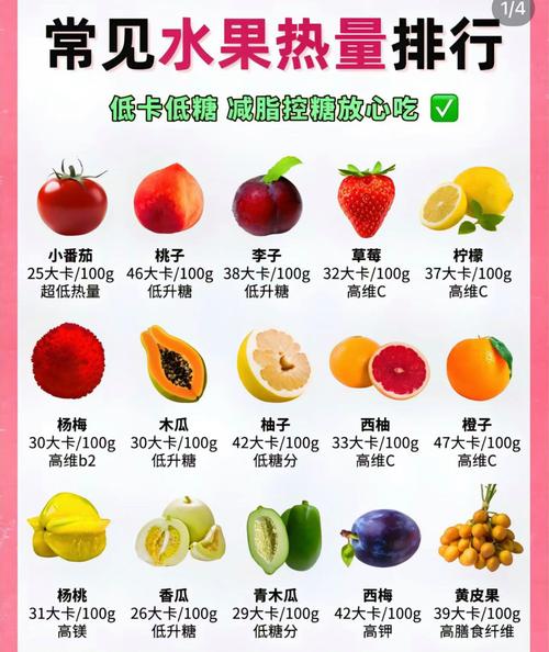 减肥期 吃什么