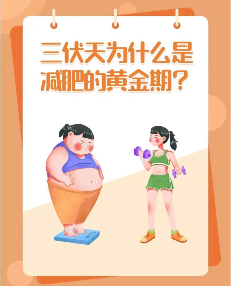 为什么减肥停滞期会有多久