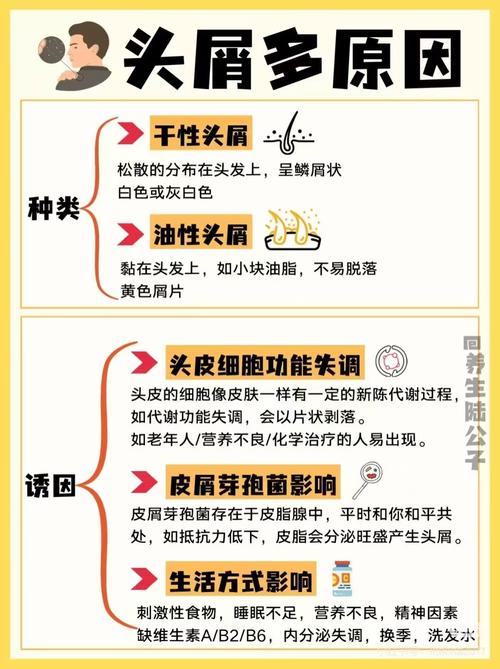 掉头皮屑是什么原因