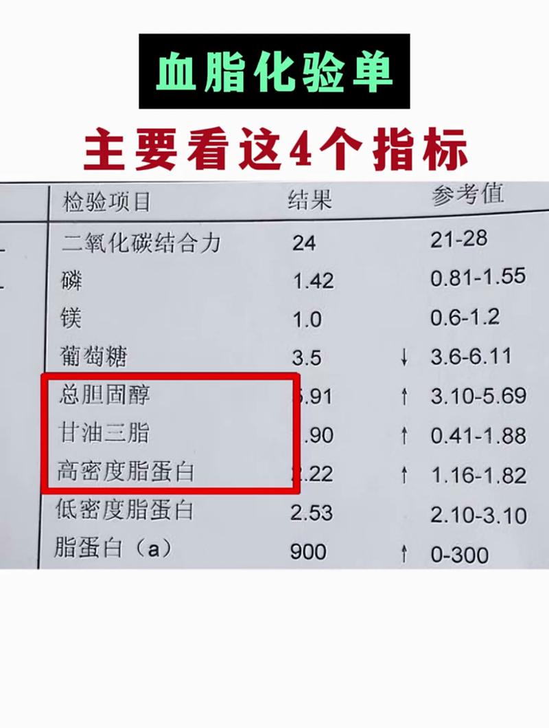 血脂高最新标准是什么