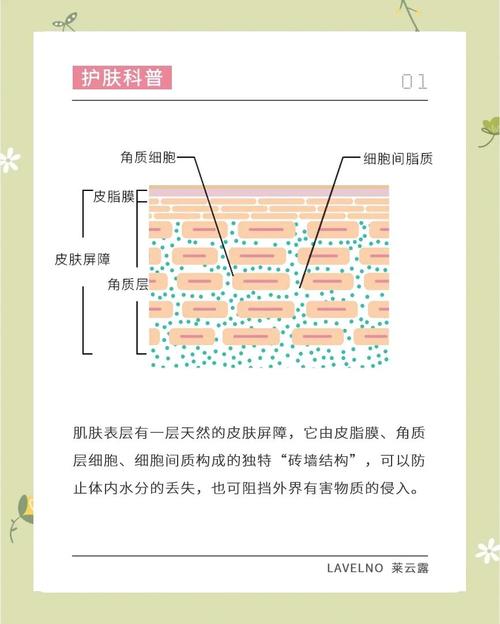 洗洗面奶后脸刺痛怎么回事