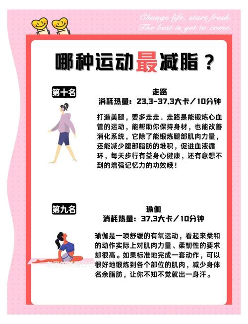 燃脂减肥是什么