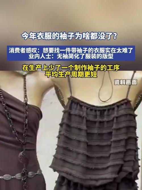 没袖子的衣服叫什么