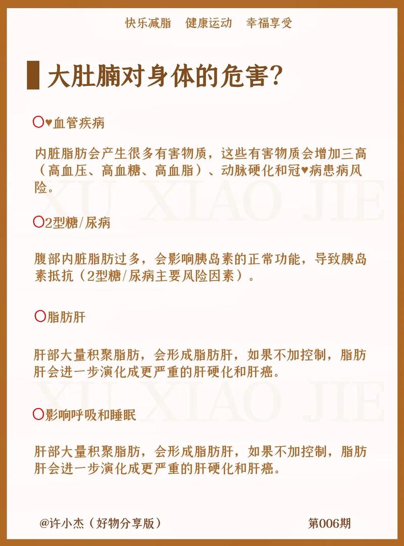 为什么减肥先瘦肚子