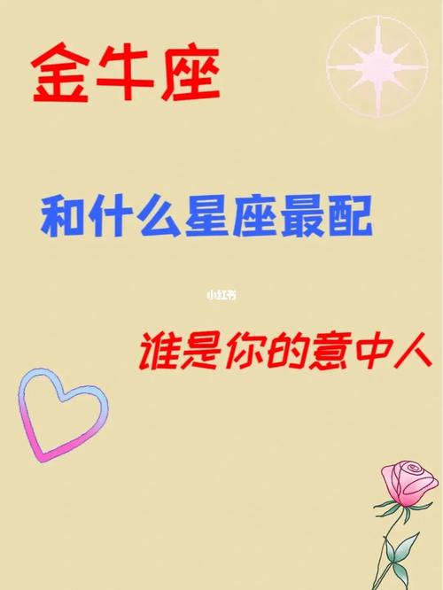 金牛女和什么星座配