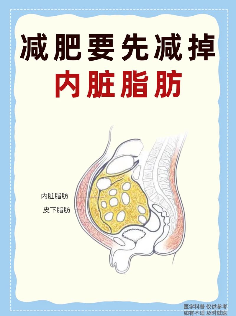 减肥先减的是什么