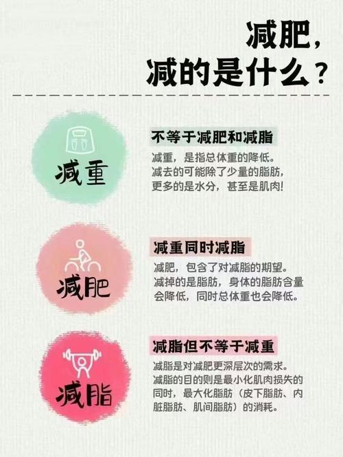 减肥先减的是什么
