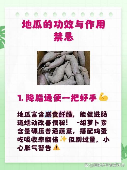 什么时候吃地瓜减肥