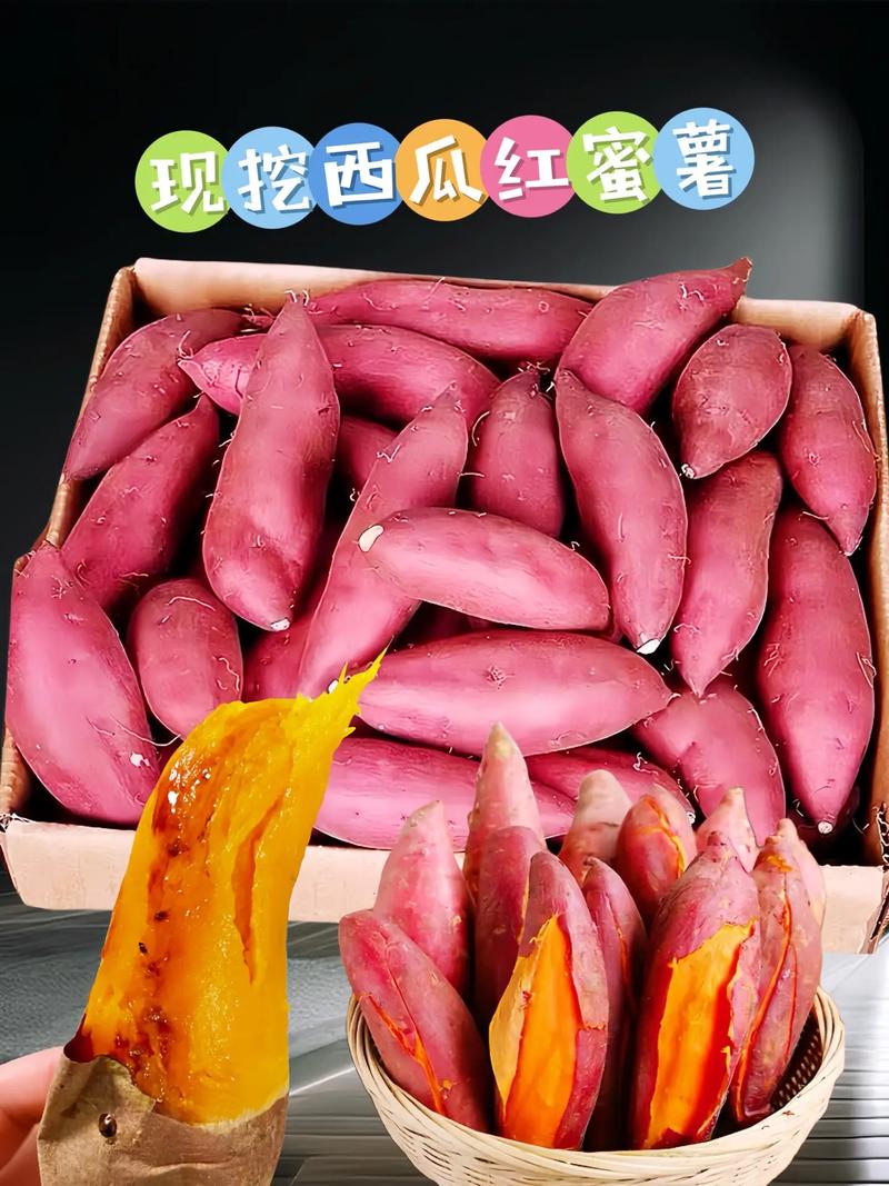 什么时候吃地瓜减肥