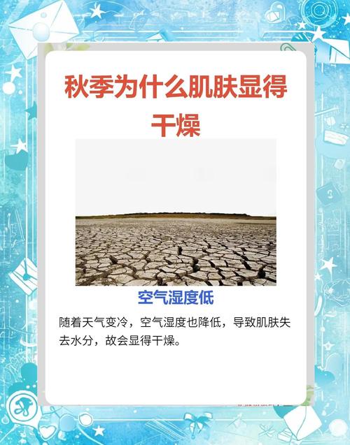 为什么秋天干燥