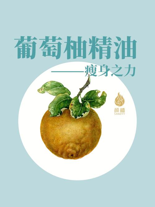 减肥用的精油是什么