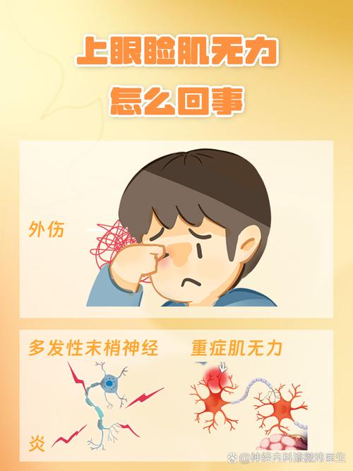 上眼皮痛是什么原因