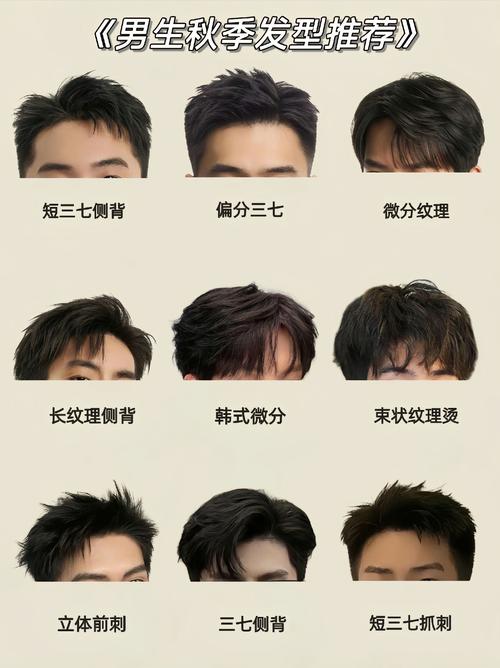 最新男发型的名字叫什么