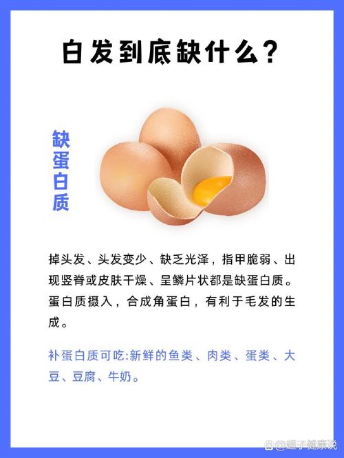 白头发是缺什么营养