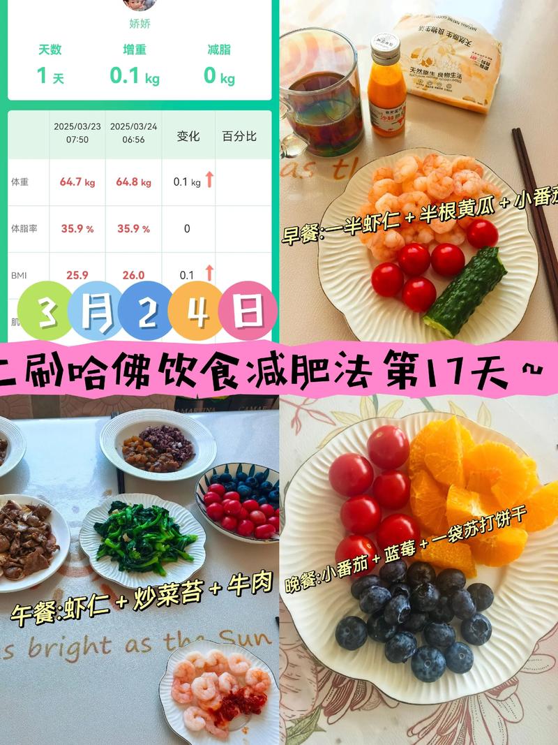 17天减肥法 第一阶段是什么