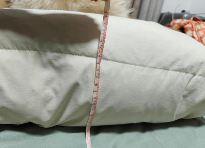 羽绒服毛领是什么毛