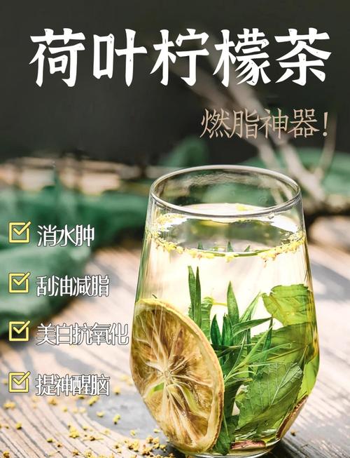 什么荷叶茶能减肥