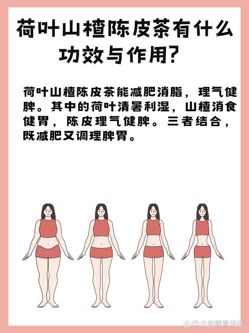 什么荷叶茶能减肥
