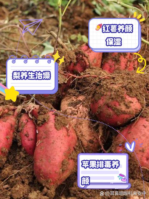 秋天皮肤干燥吃什么