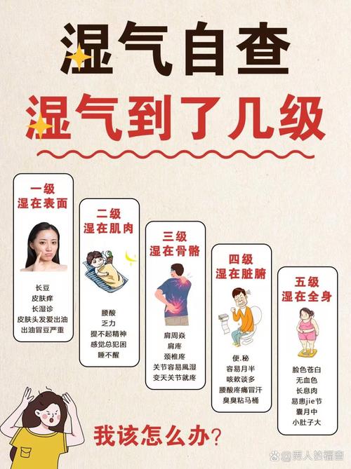 体内湿气重怎么办最新