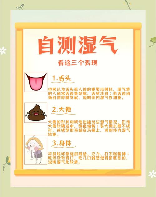 体内湿气重怎么办最新