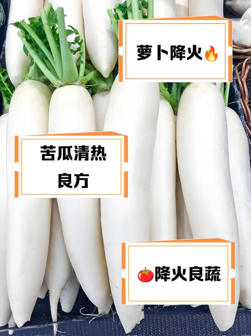 吃什么能去火快