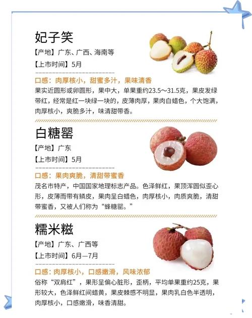 荔枝最新版有什么功能