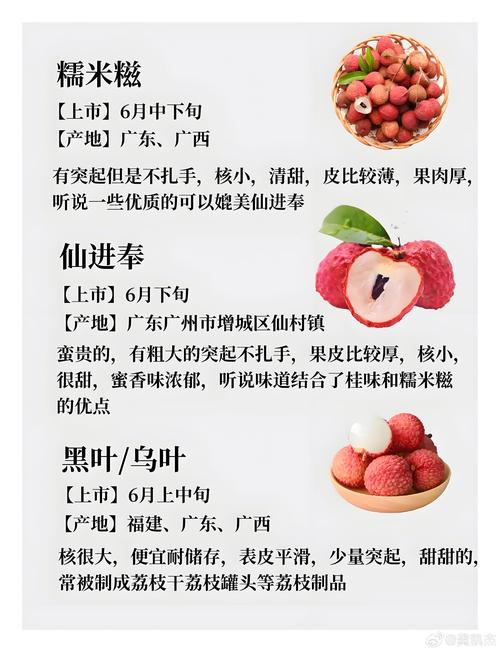 荔枝最新版有什么功能