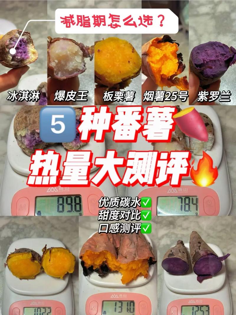 红薯为什么能减肥