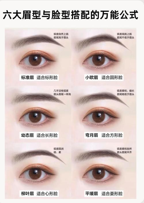最新眉型叫什么用