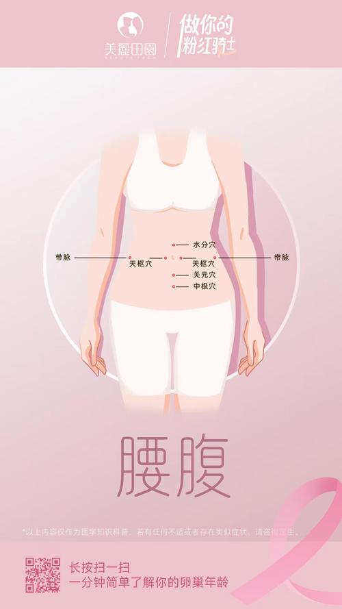 腰肚是什么