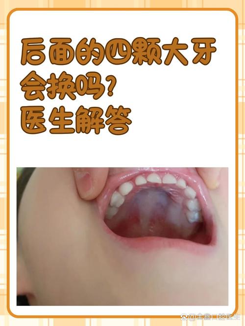 牙后面是什么
