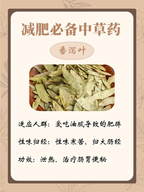 什么中药对减肥好