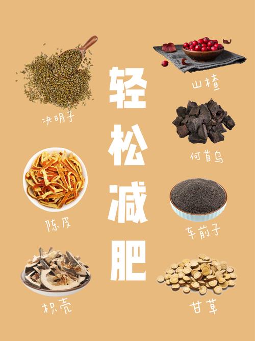 都是什么草药减肥