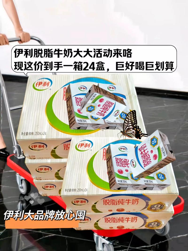 什么时候喝伊利纯牛奶可以减肥