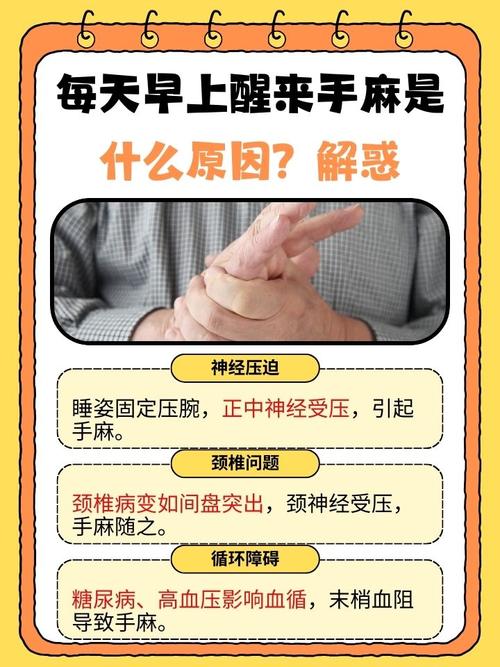 为什么手脚容易发麻