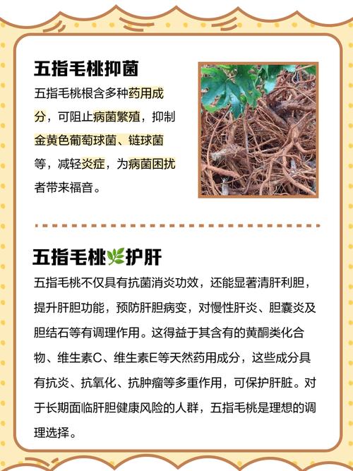 吃毛桃有什么好处