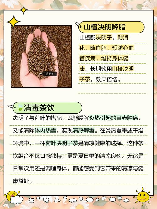决明子和什么泡减肥