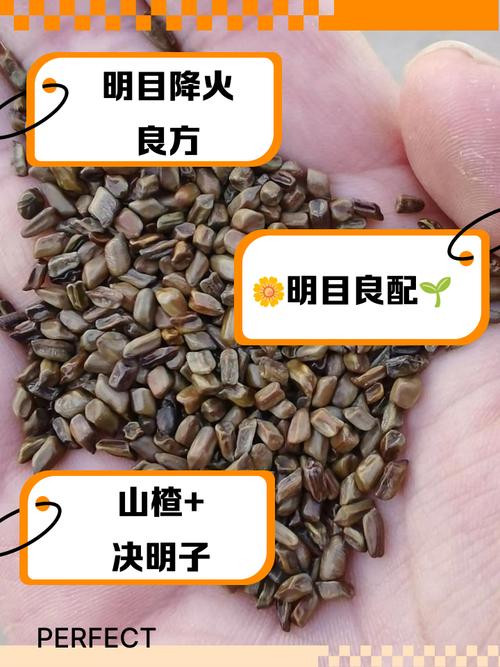 决明子和什么泡减肥