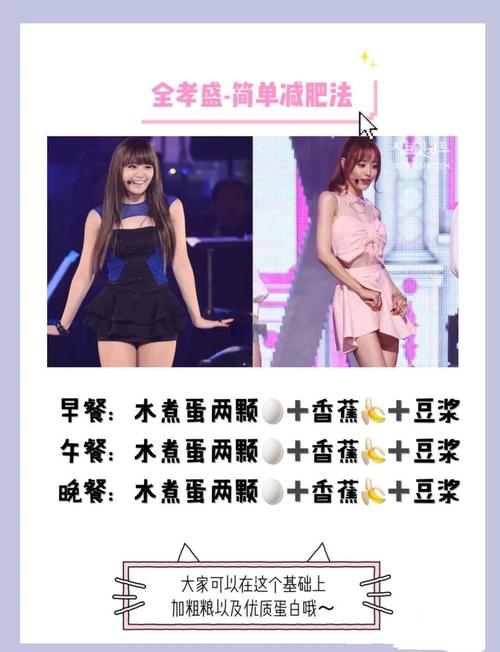 播出韩国明星减肥餐的节目叫什么