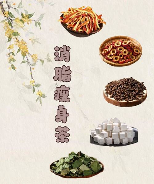 什么中药减肥好
