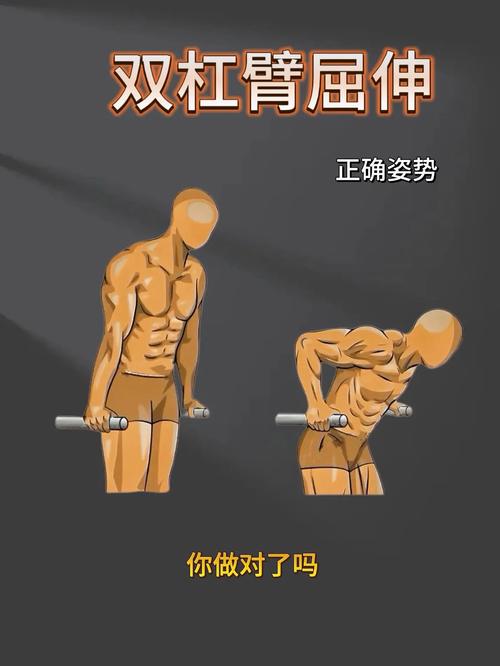 什么是屈伸运动