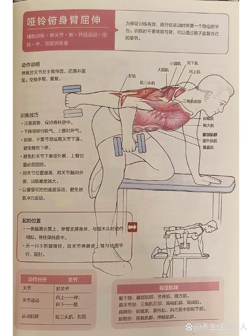 什么是屈伸运动