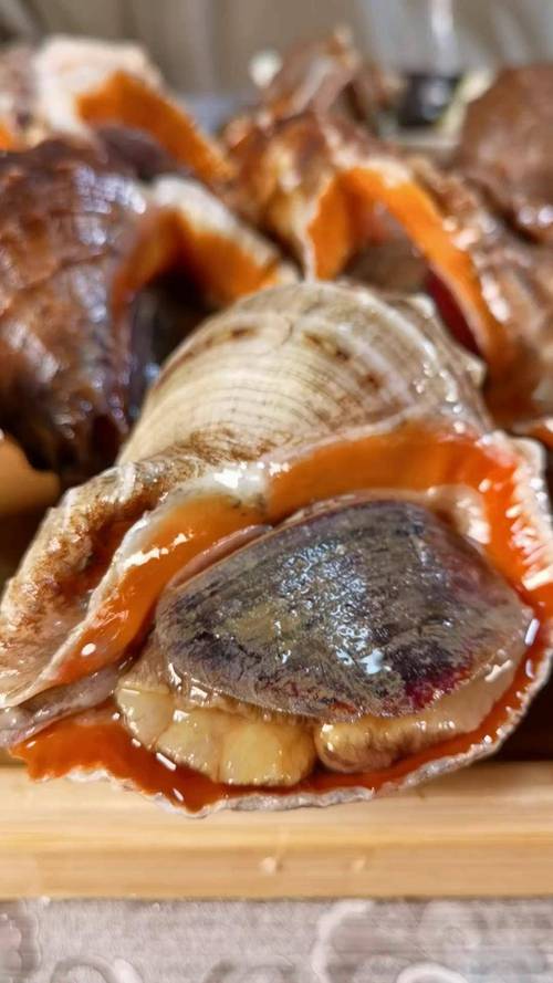 海螺什么季节吃最新鲜