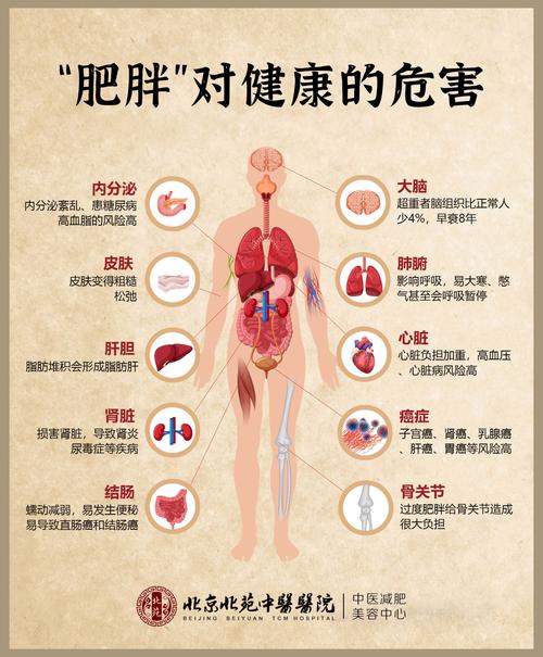 肥胖导致什么