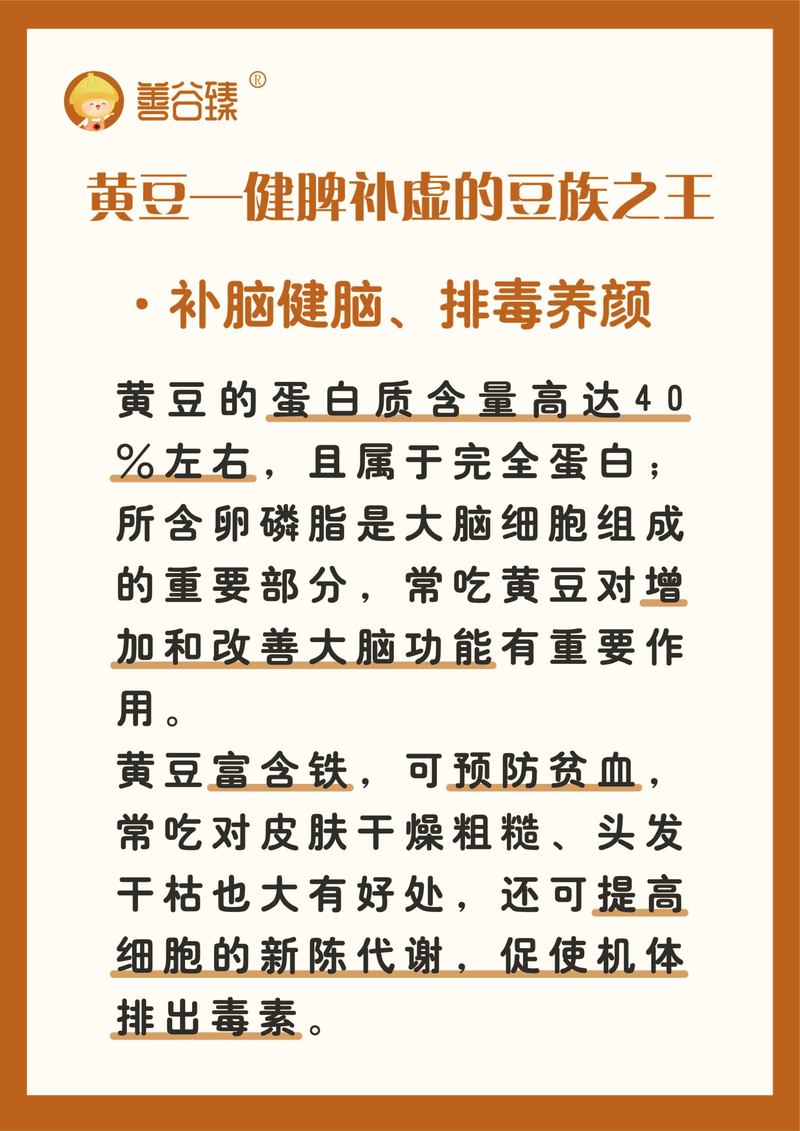 黄豆为什么可以减肥